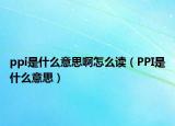 ppi是什么意思啊怎么读（PPI是什么意思）