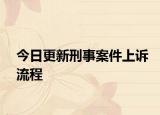 今日更新刑事案件上诉流程