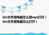 bin文件用电脑怎么用wps打开（bin文件用电脑怎么打开）