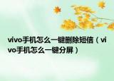vivo手机怎么一键删除短信（vivo手机怎么一键分屏）