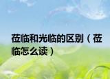 莅临和光临的区别（莅临怎么读）