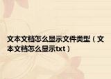 文本文档怎么显示文件类型（文本文档怎么显示txt）