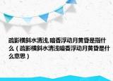 疏影横斜水清浅,暗香浮动月黄昏是指什么（疏影横斜水清浅暗香浮动月黄昏是什么意思）