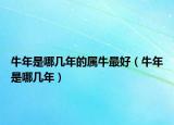 牛年是哪几年的属牛最好（牛年是哪几年）