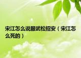 宋江怎么说服武松招安（宋江怎么死的）