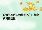 如何学习自由泳快速入门（如何学习自由泳）