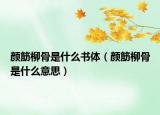 颜筋柳骨是什么书体（颜筋柳骨是什么意思）