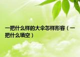 一把什么样的大伞怎样形容（一把什么填空）