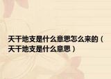 天干地支是什么意思怎么来的（天干地支是什么意思）