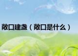 敞口建盏（敞口是什么）