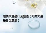 阳关大道是什么短语（阳关大道是什么意思）