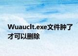 Wuauclt.exe文件肿了才可以删除
