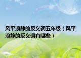风平浪静的反义词五年级（风平浪静的反义词有哪些）