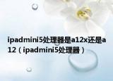 ipadmini5处理器是a12x还是a12（ipadmini5处理器）