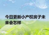 今日更新小产权房子未来会怎样