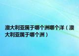 澳大利亚属于哪个洲哪个洋（澳大利亚属于哪个洲）
