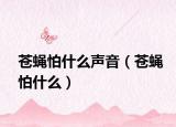 苍蝇怕什么声音（苍蝇怕什么）