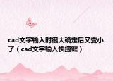 cad文字输入时很大确定后又变小了（cad文字输入快捷键）