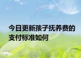 今日更新孩子抚养费的支付标准如何