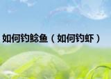 如何钓鲶鱼（如何钓虾）