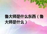 鲁大师是什么东西（鲁大师是什么）