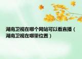 湖南卫视在哪个网站可以看直播（湖南卫视在哪里位置）