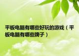 平板电脑有哪些好玩的游戏（平板电脑有哪些牌子）