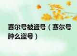 赛尔号被盗号（赛尔号肿么盗号）