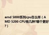 amd 5000系列cpu怎么样（AMD 5200 CPU有几种?哪个更好?）