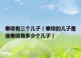 秦琼有三个儿子（秦琼的儿子是谁秦琼有多少个儿子）