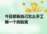 今日更新自己怎么手工做一个蚂蚁窝