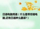 日语电脑用语（什么是零终端电脑,还有日语肿么翻译?）