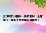 全球有多少国家一夫多妻制（全球实行一妻多夫制的国家有哪些）