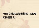 mdb文件怎么复制粘贴（MDB文件是什么）