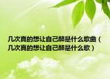 几次真的想让自己醉是什么歌曲（几次真的想让自己醉是什么歌）