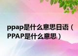 ppap是什么意思日语（PPAP是什么意思）