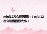 miui12怎么设置图片（miui12怎么设置图标大小）
