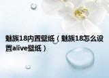 魅族18内置壁纸（魅族18怎么设置alive壁纸）
