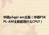 华硕p5qpl-am主板（华硕P5KPL-AM主板能用什么CPU?）