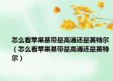 怎么看苹果基带是高通还是英特尔（怎么看苹果基带是高通还是英特尔）