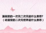 漫画里的一次元二次元是什么意思?（动漫里的二次元世界是什么意思）