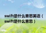 swift是什么意思英语（swift是什么意思）