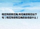 桃花坞里桃花庵,桃花庵里桃花仙下句（桃花坞里桃花庵的全诗是什么）