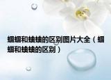 蝈蝈和蛐蛐的区别图片大全（蝈蝈和蛐蛐的区别）