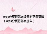 wps分页符怎么设置右下角页数（wps分页符怎么加入）