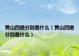 黄山四绝分别是什么（黄山四绝分别是什么）