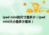 ipad mini的尺寸是多少（ipad mini大小是多少厘米）
