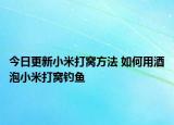 今日更新小米打窝方法 如何用酒泡小米打窝钓鱼