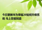 今日更新华为荣耀20如何升级系统 马上您就知道