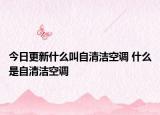 今日更新什么叫自清洁空调 什么是自清洁空调